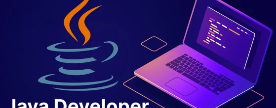 Junior Java Developers