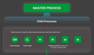 Tìm hiểu về Nginx