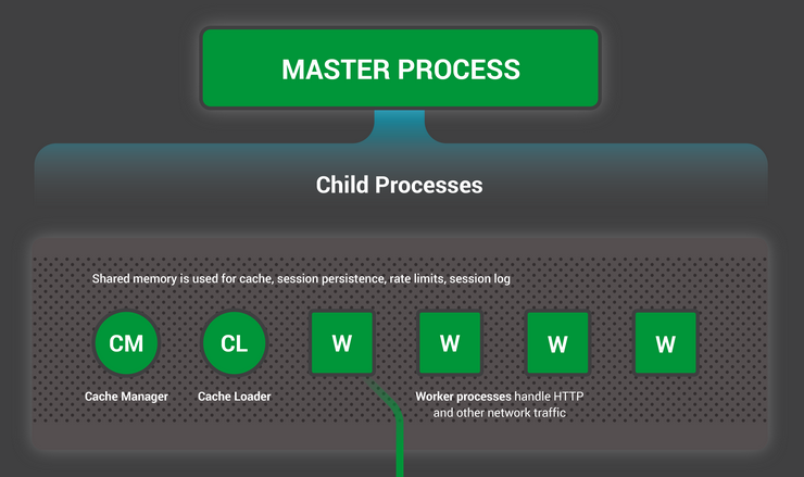 Nginx Http Process Kiến trúc, cách hoạt động và cấu hình cơ bản của Nginx - Rivercrane